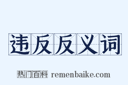违反反义词是什么意思的图片